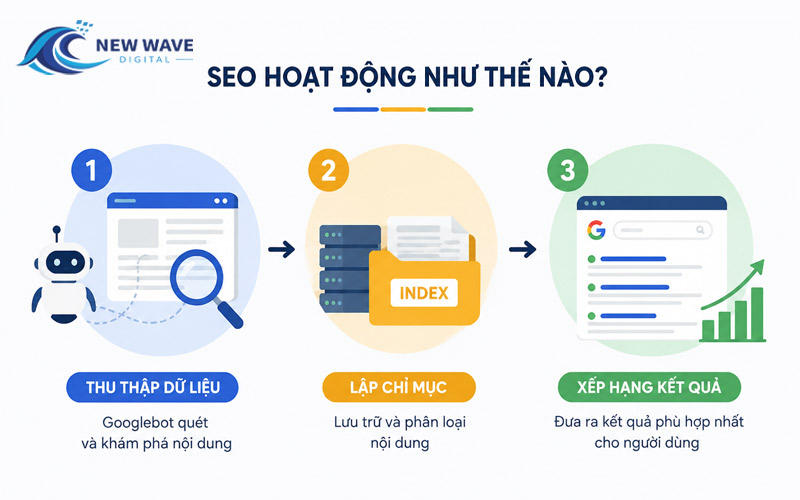seo-hoat-dong-nhu-the-nao